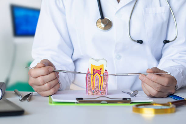 Best Emergency Orthodontic Services in Sparta, MI